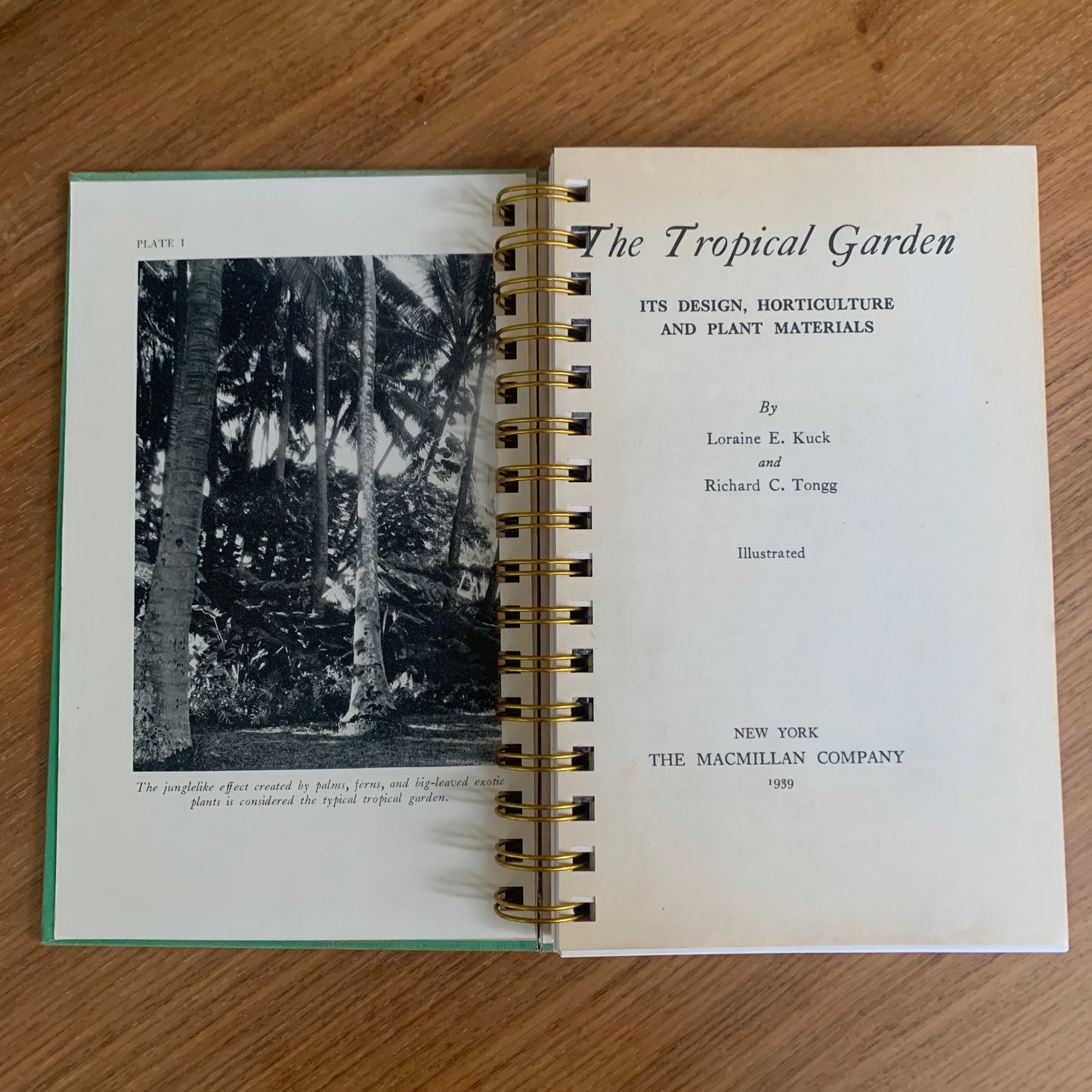 The Tropical Garden