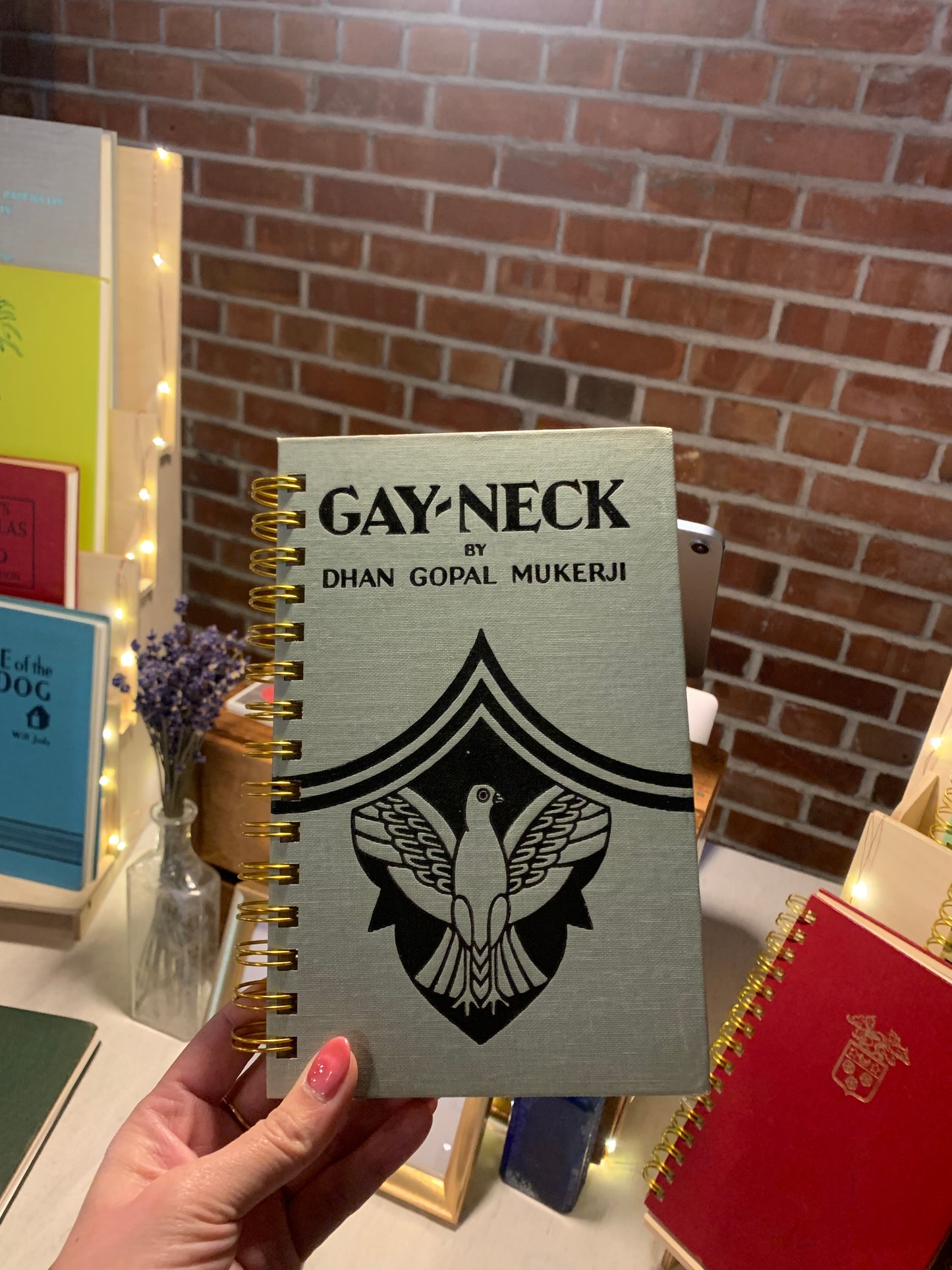 Gay Neck: The Story of a Pigeon