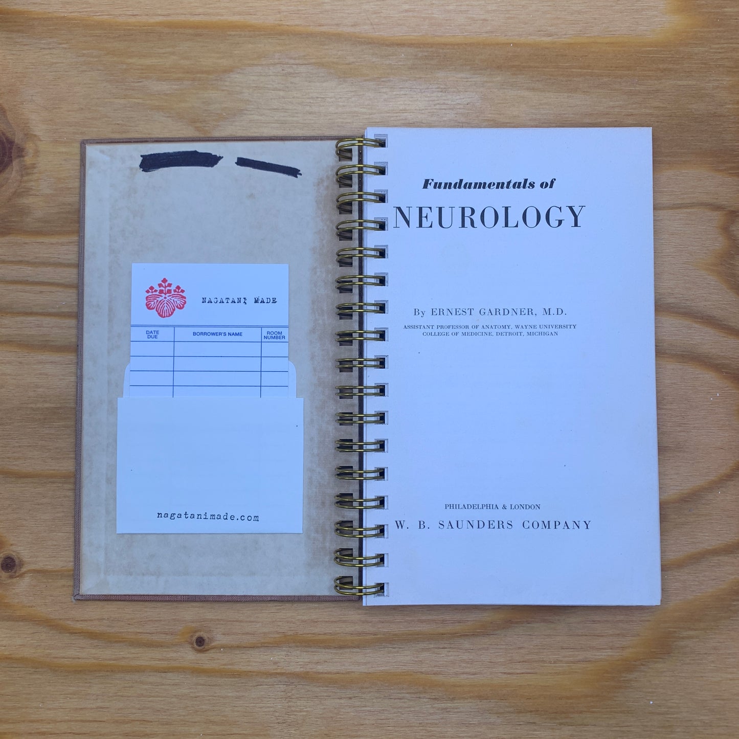 Fundamentals of Neurology