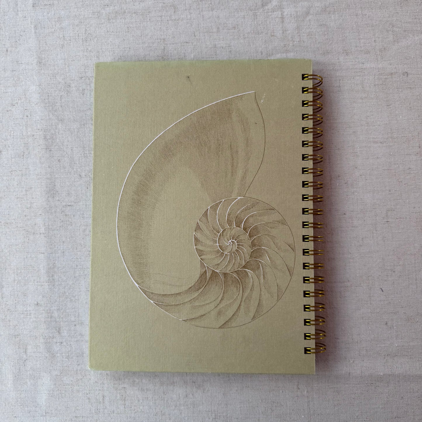 All Color Book of Seashells