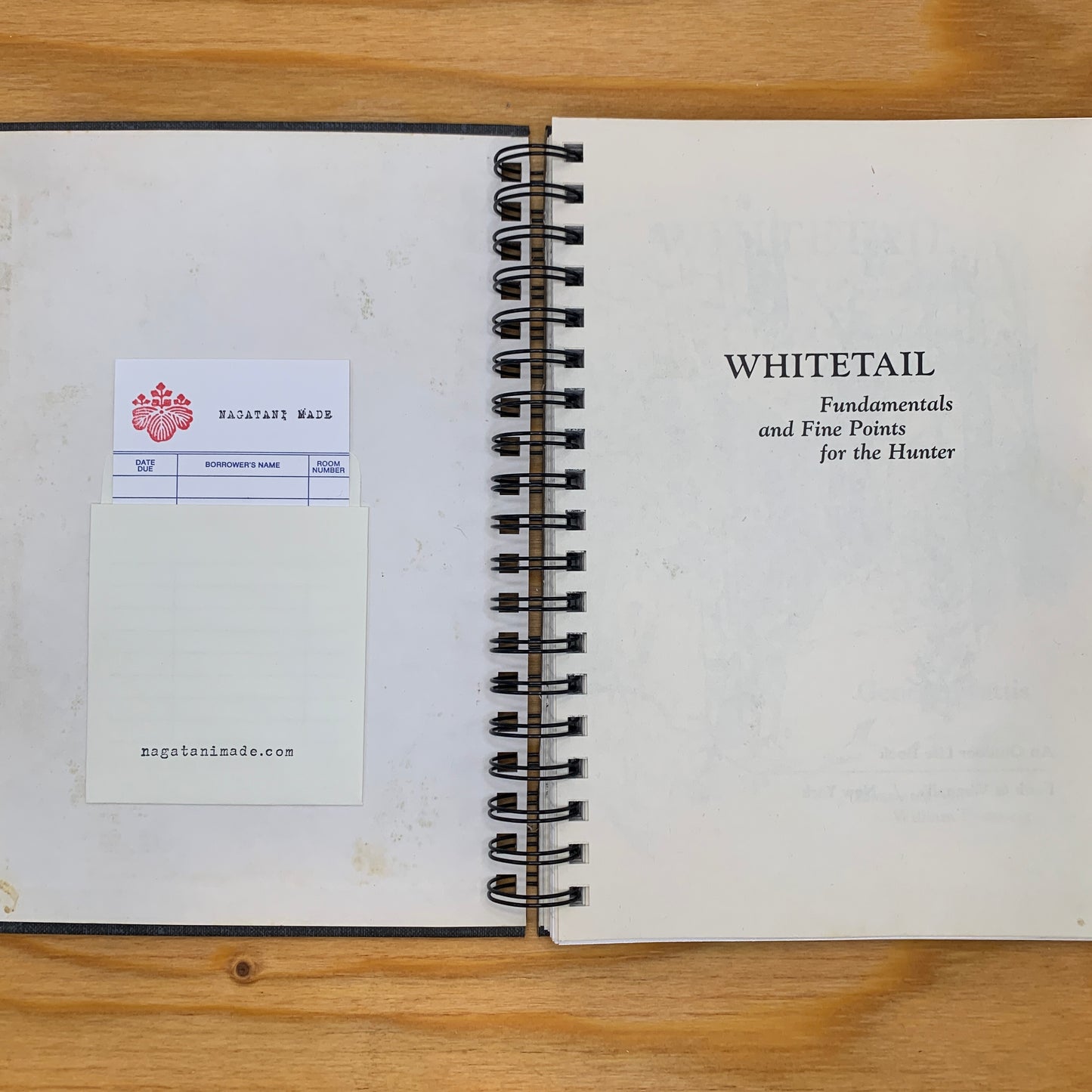 Whitetail: Fundamentals and Fine Points for the Hunter