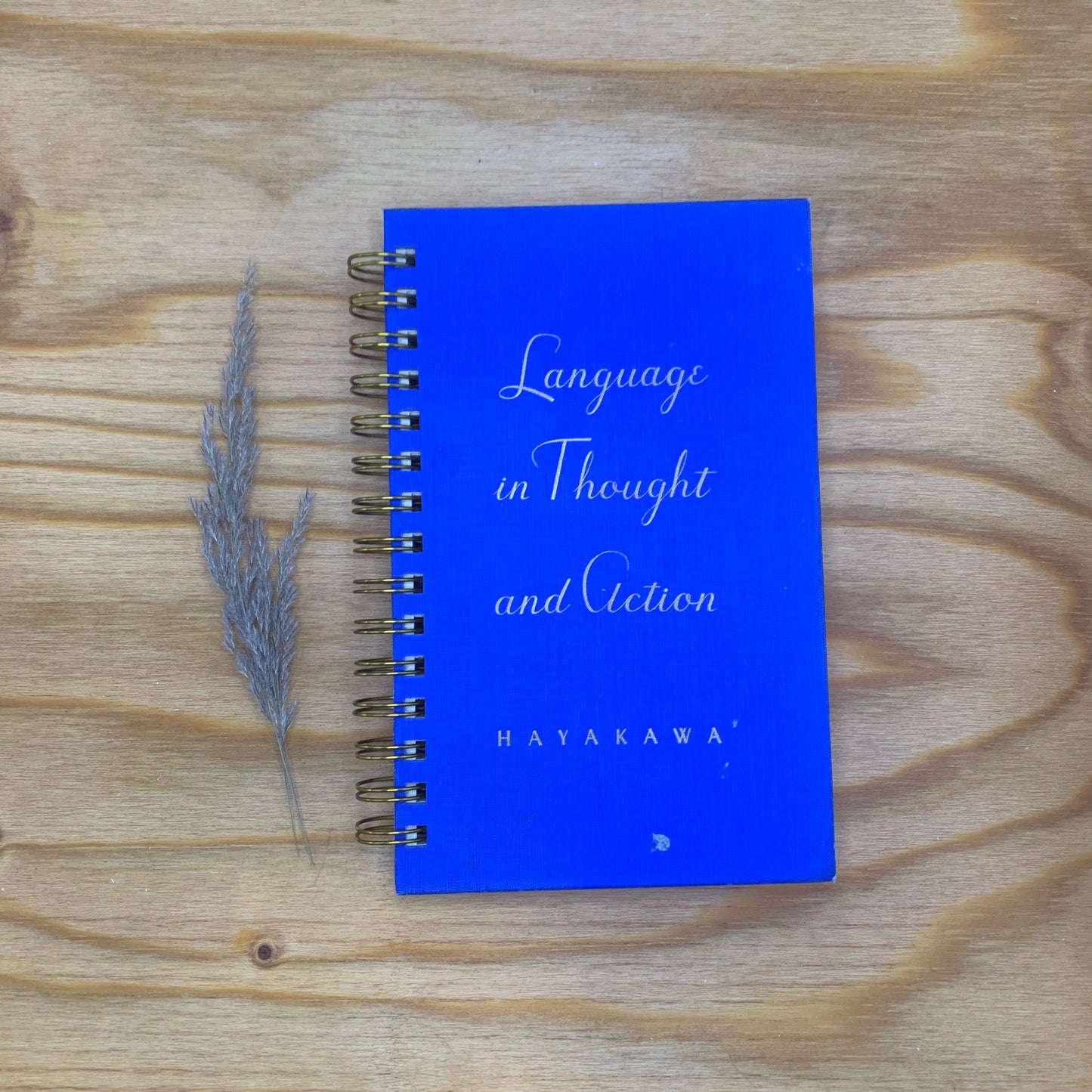Language in Thought and Action