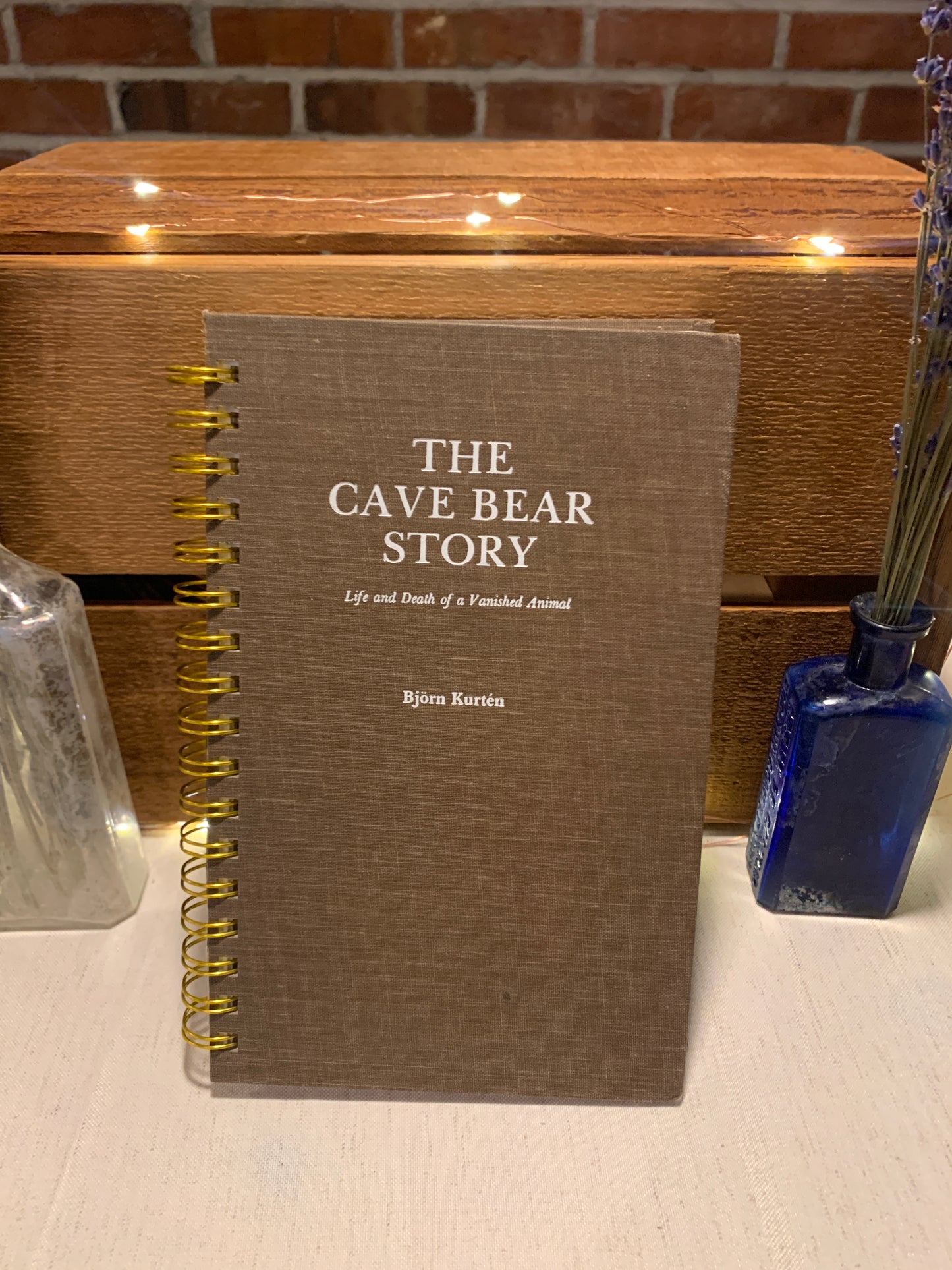 The Cave Bear Story