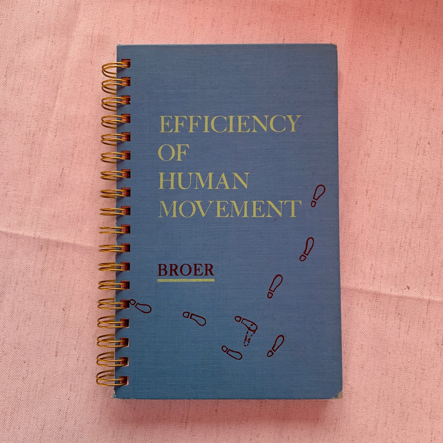 Efficiency of Human Movement