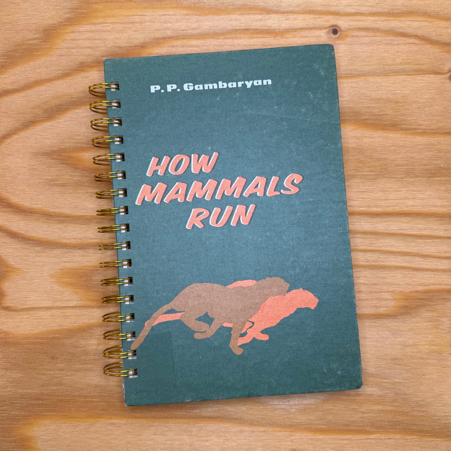 How Mammals Run