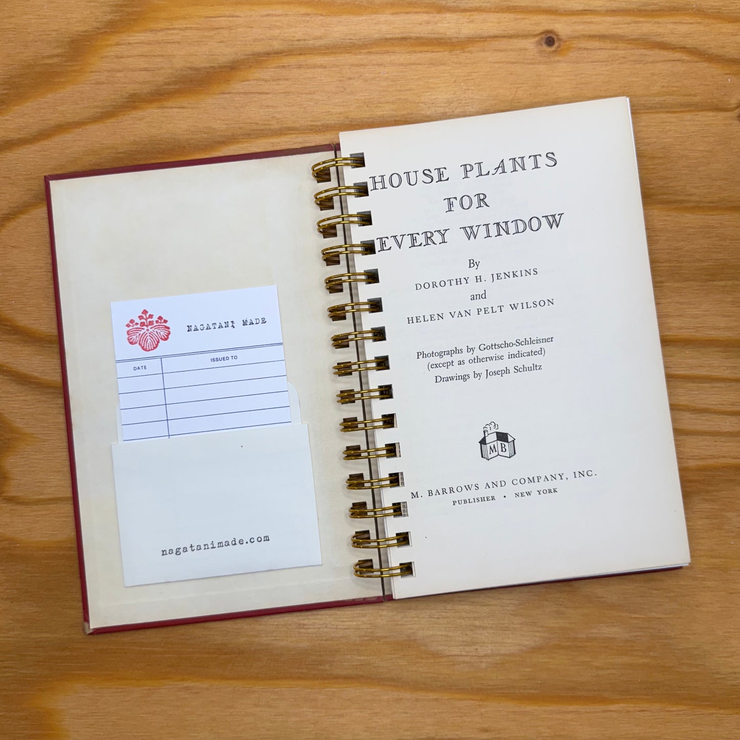 House Plants for Every Window