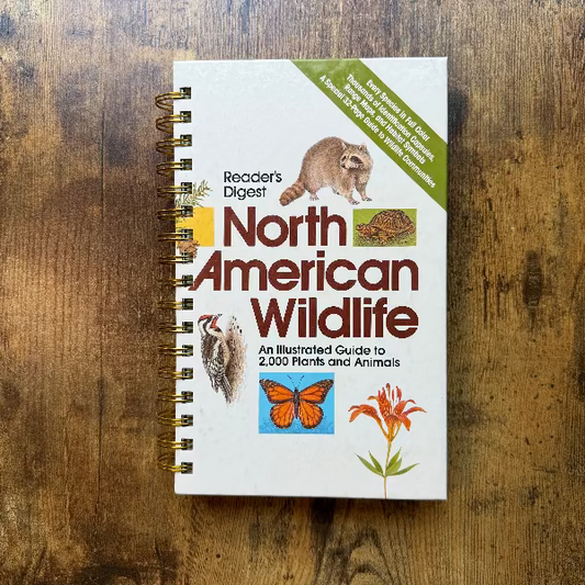 North American Wildlife