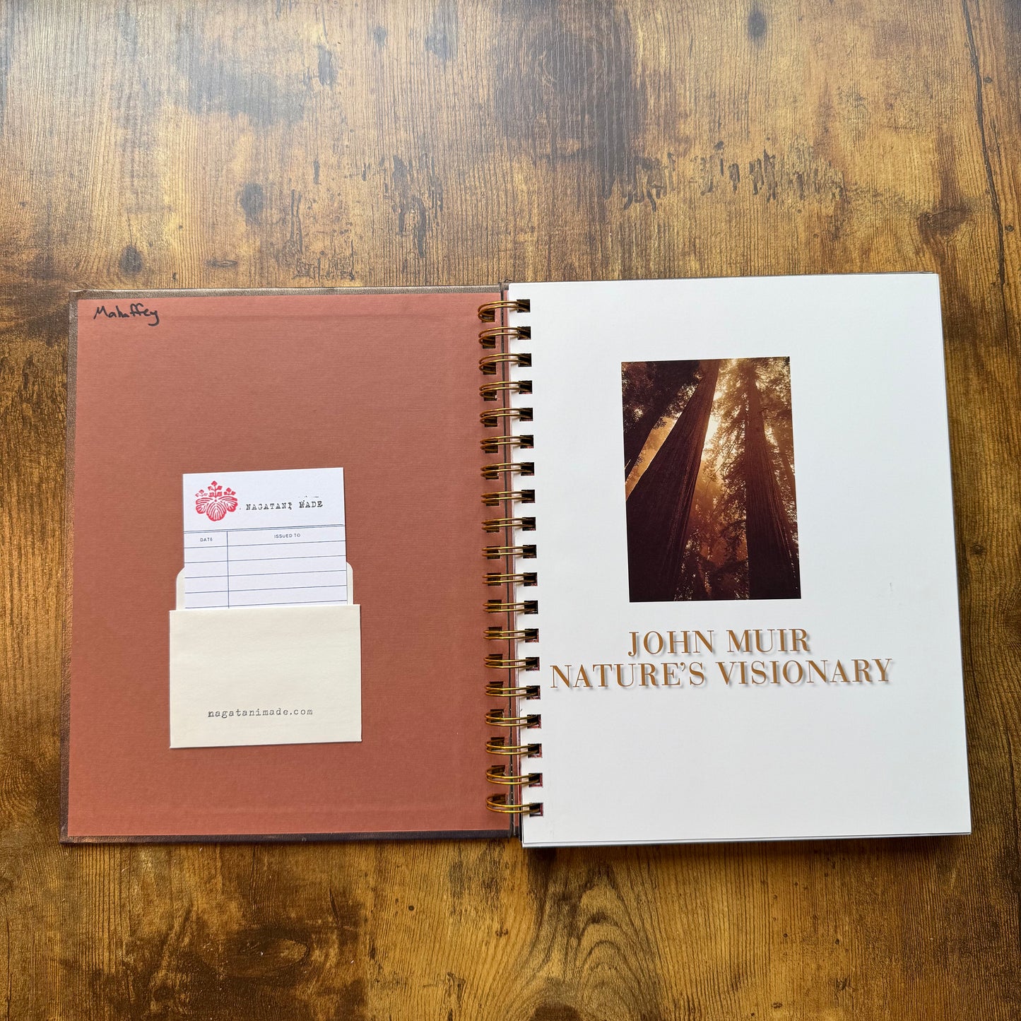 John Muir: Nature's Visionary