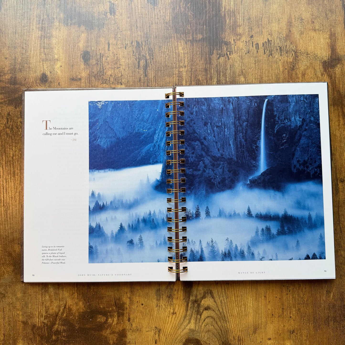 John Muir: Nature's Visionary