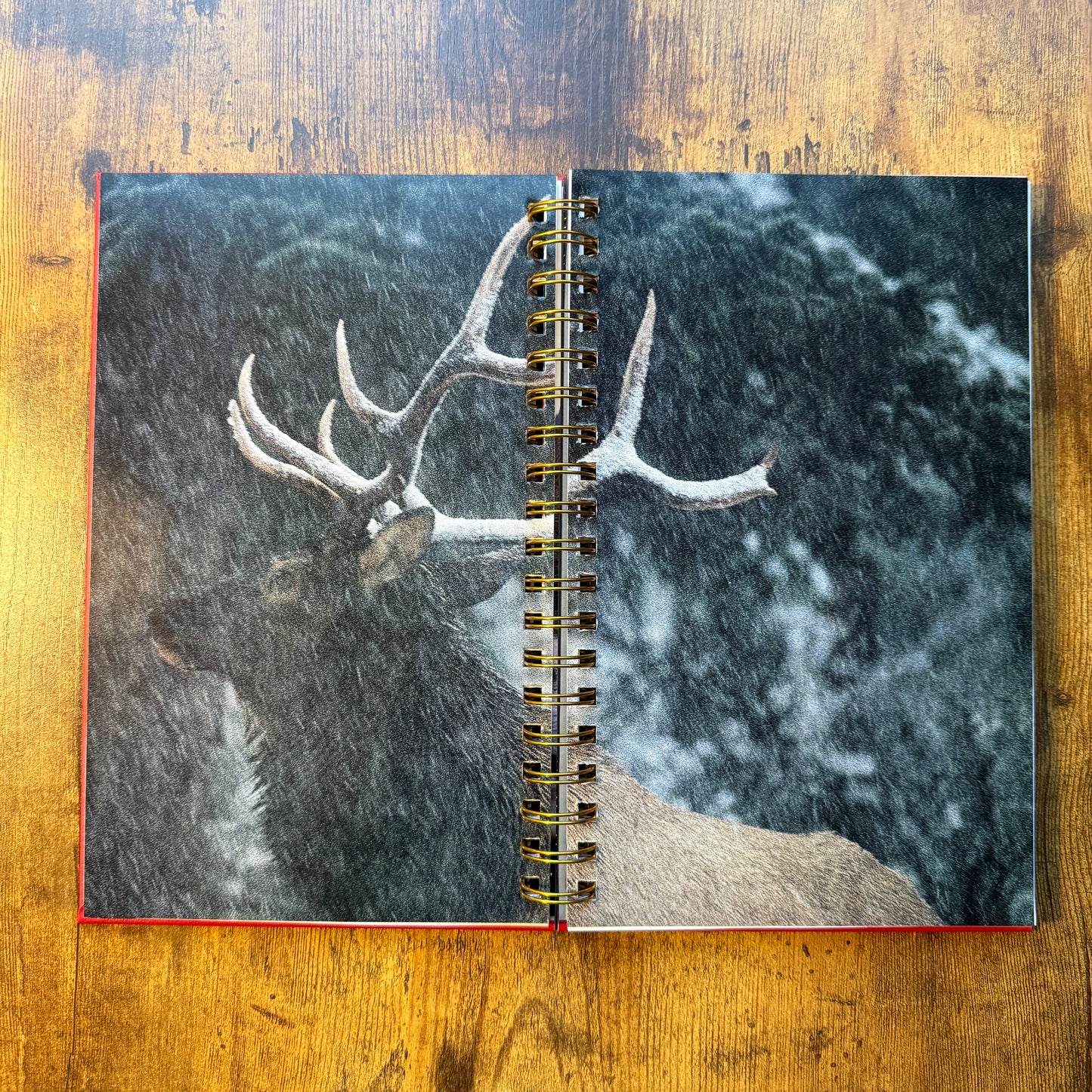 Exploring Canada's Spectacular National Parks