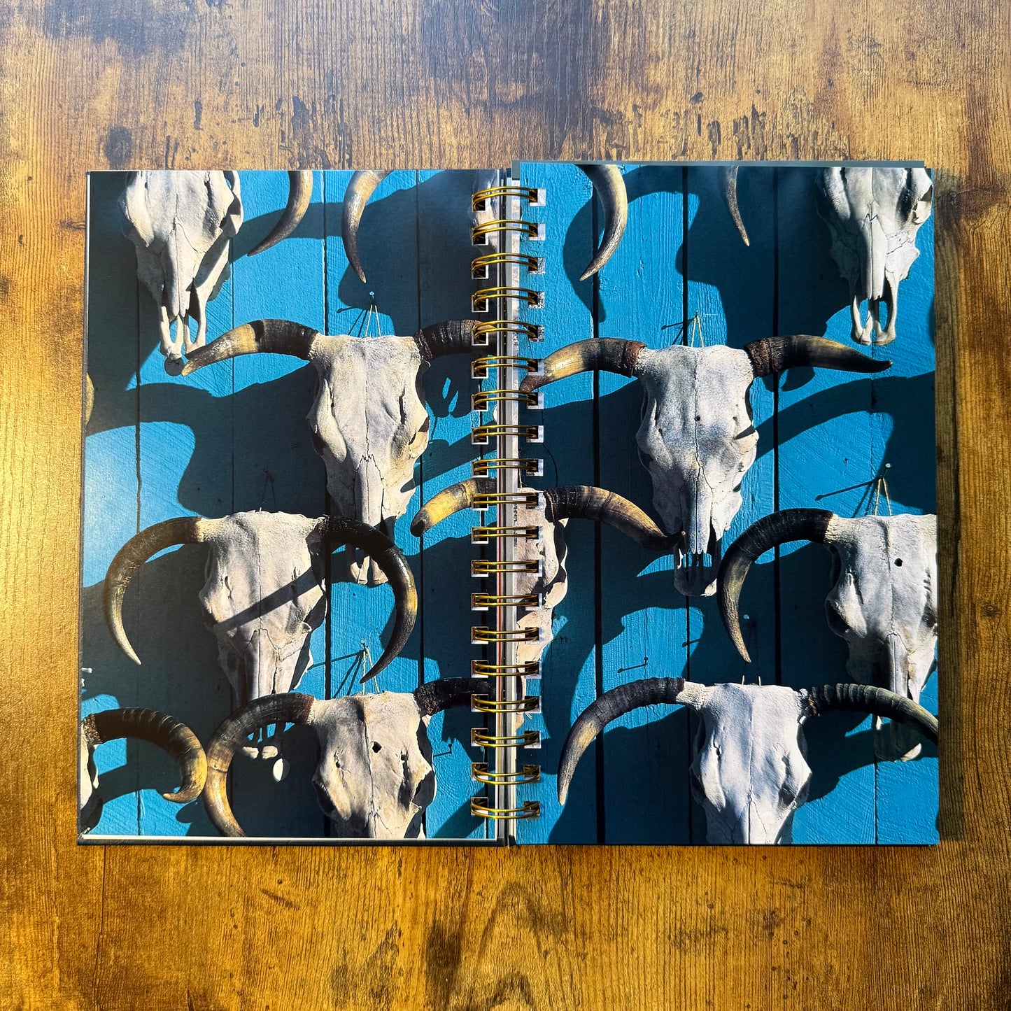 The Rockies: Pillars of a Continent