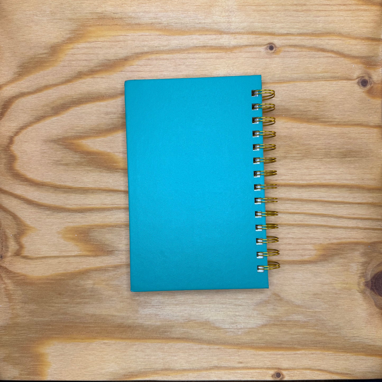 Bride in the Parsonage