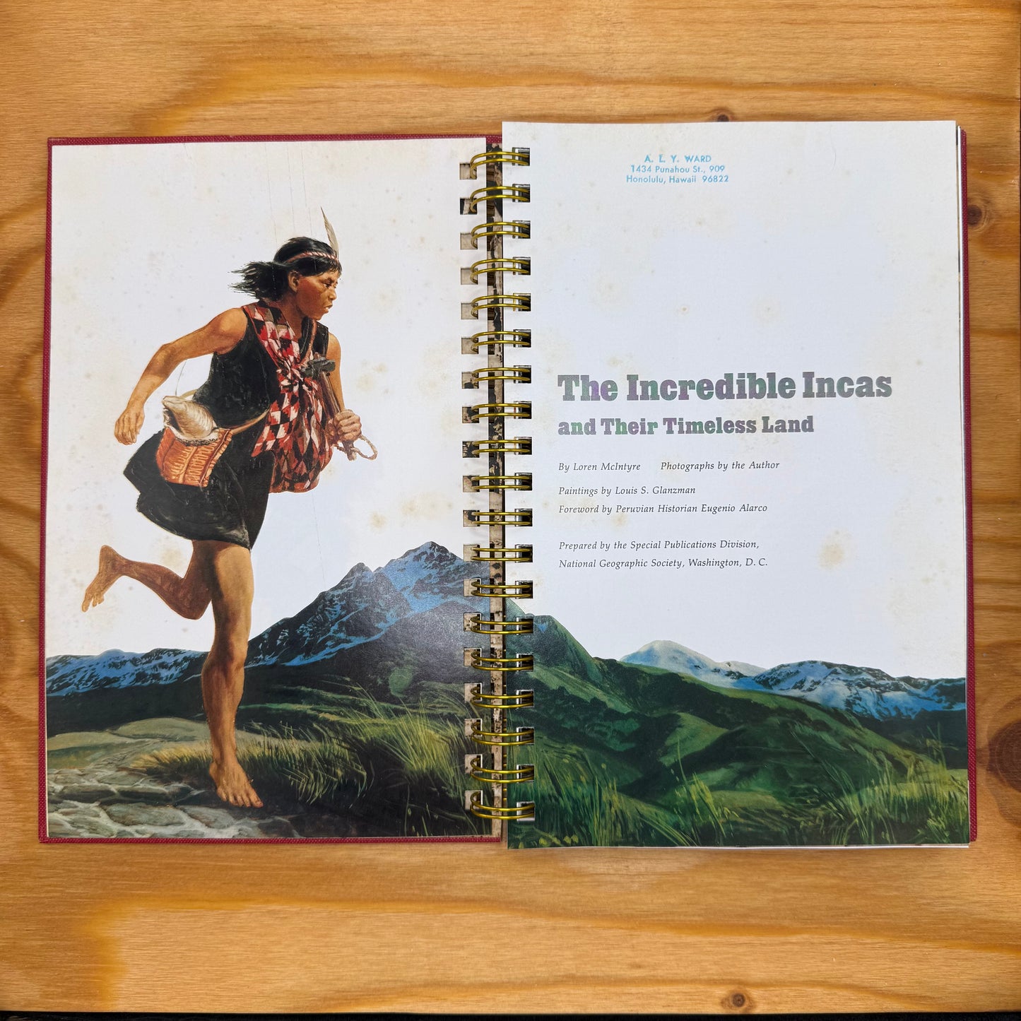 The Incredible Incas (Sketch Paper)