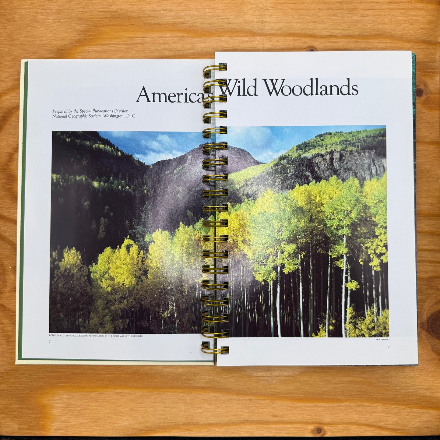 America's Wild Woodlands