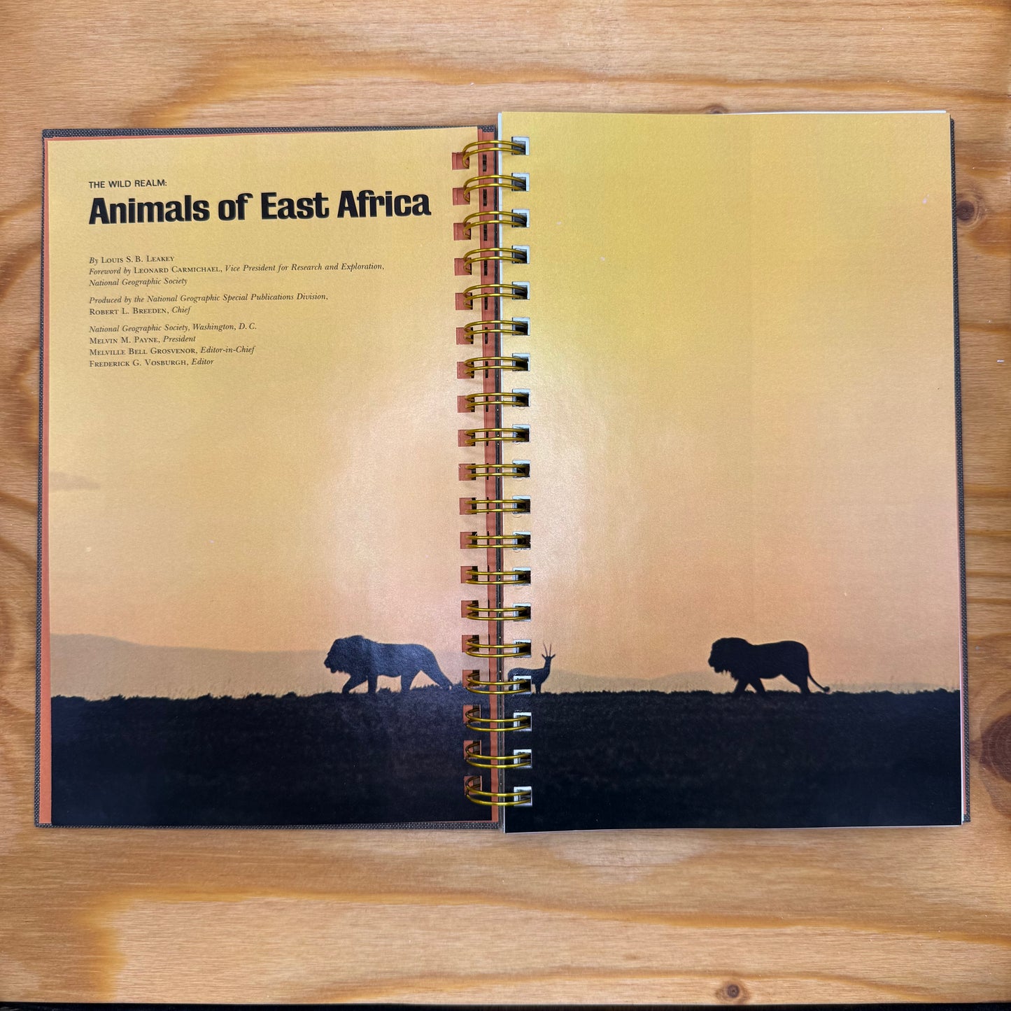 Animals of East Africa