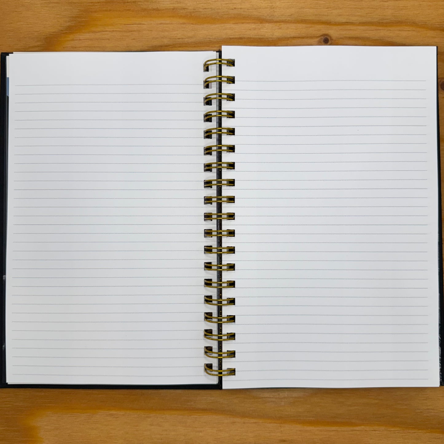 Railroads: The Great American Adventure