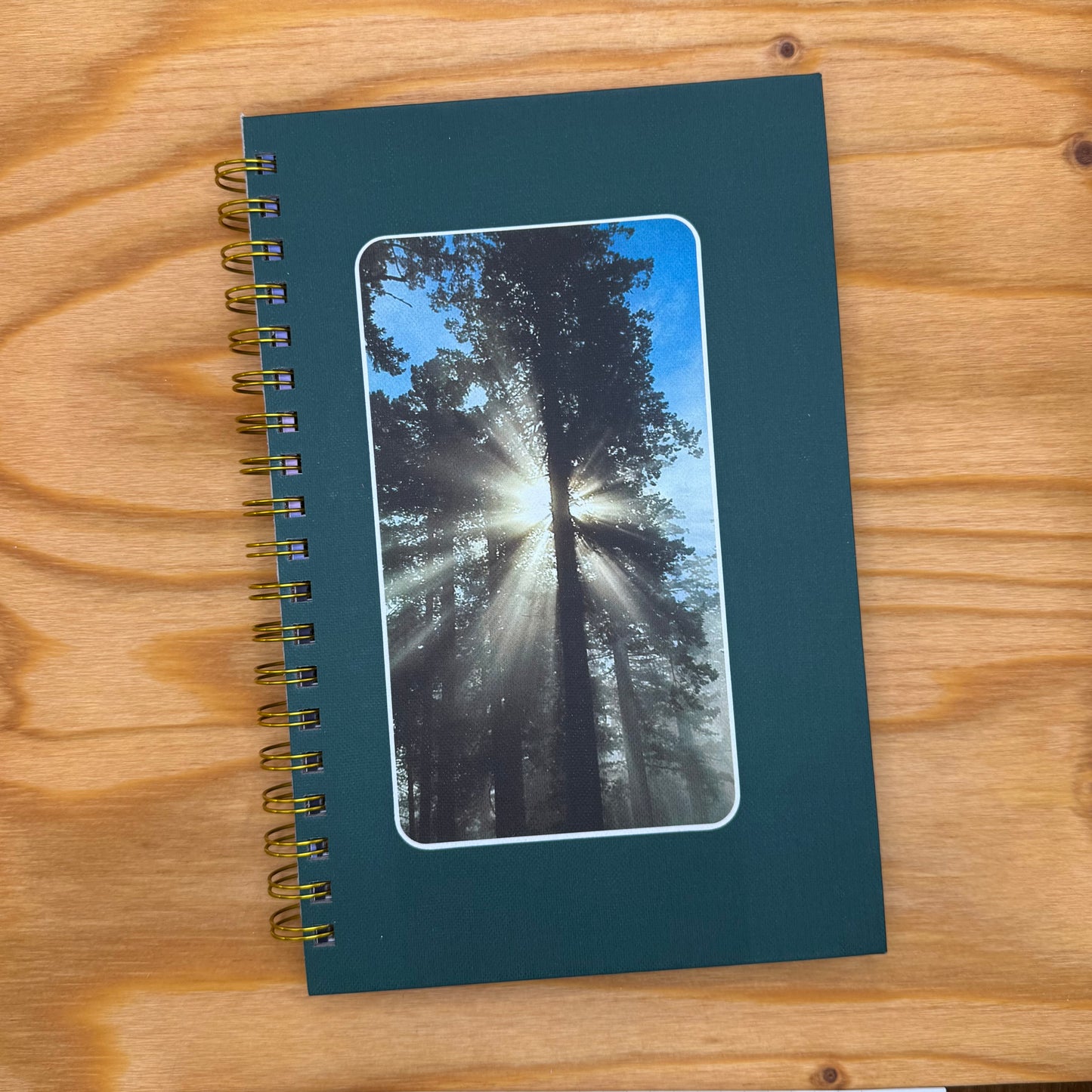 Into the Wilderness