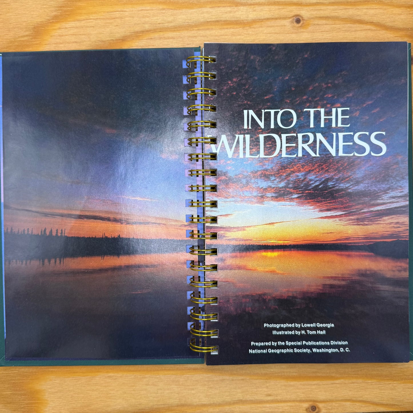 Into the Wilderness