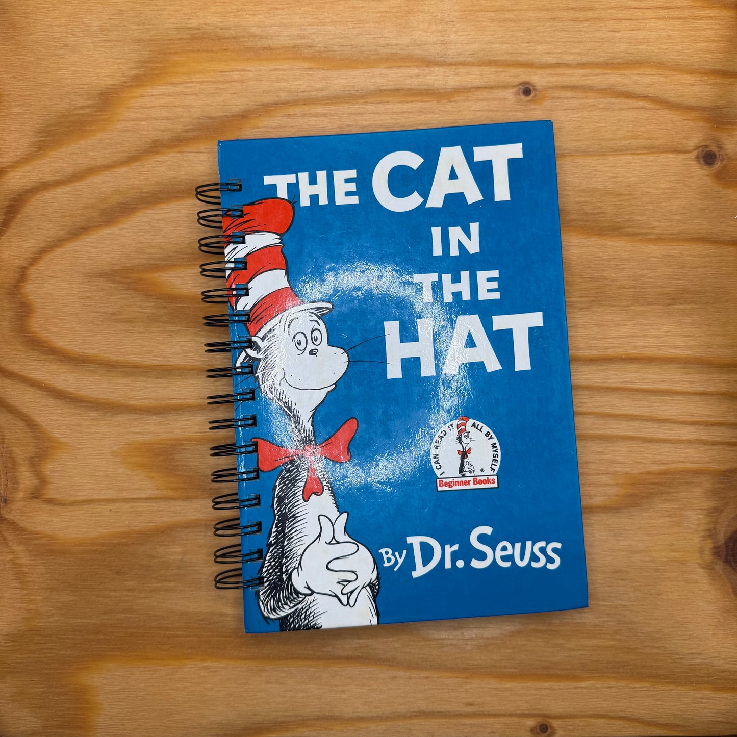 The Cat in the Hat