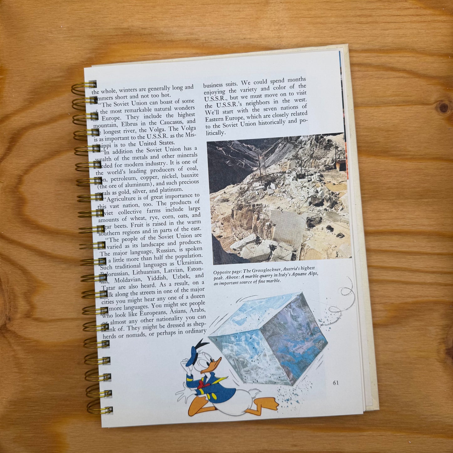 Disney's Wonderful World of Knowledge - The Continents