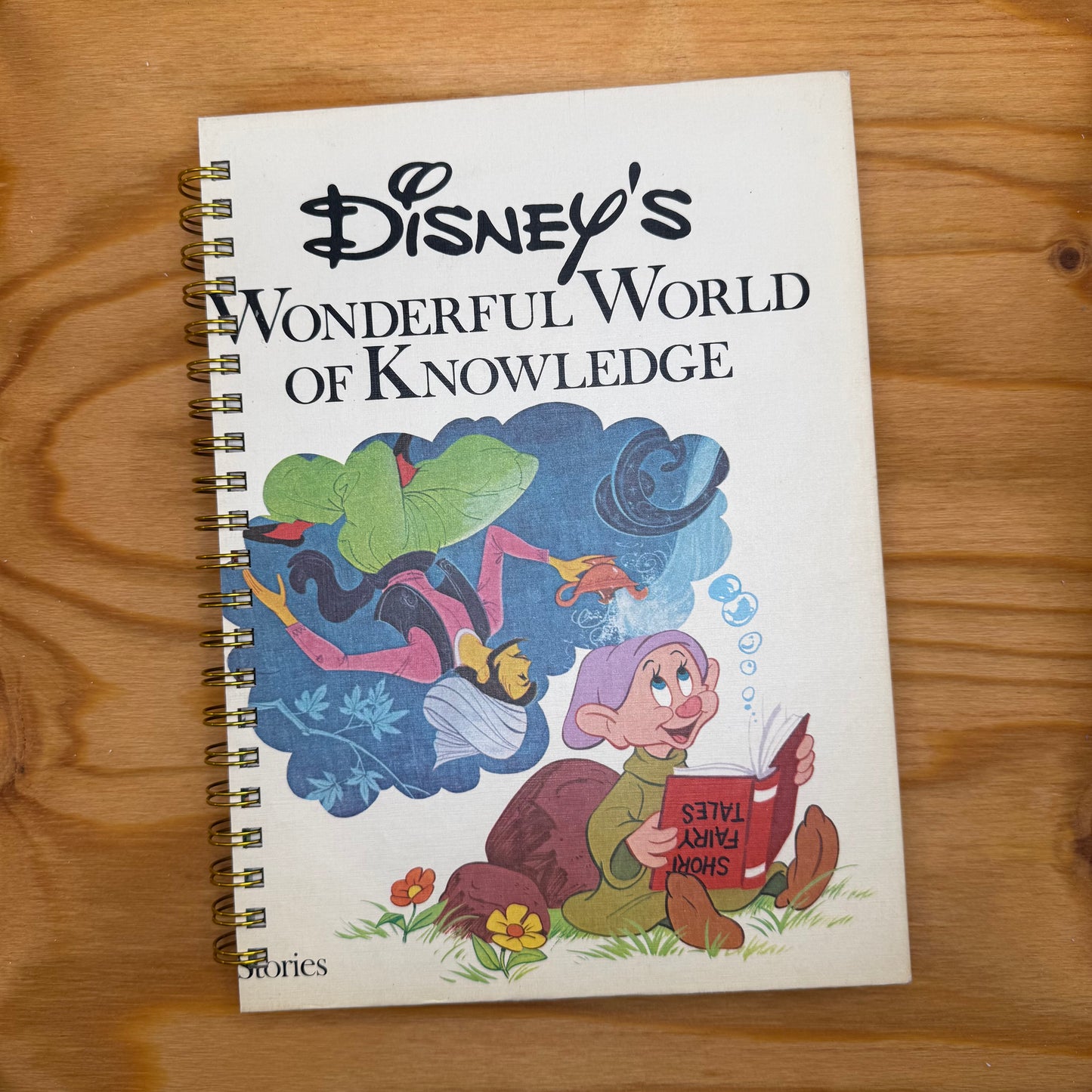 Disney's Wonderful World of Knowledge - Stories