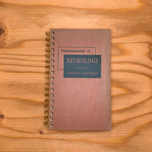 Fundamentals of Neurology