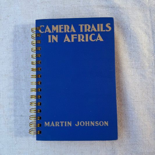 Camera Trails in Africa