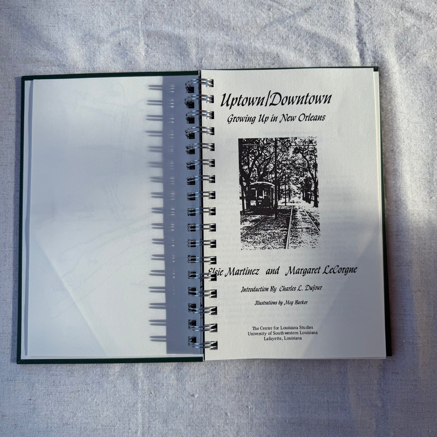 Uptown/Downtown: Growing Up in New Orleans