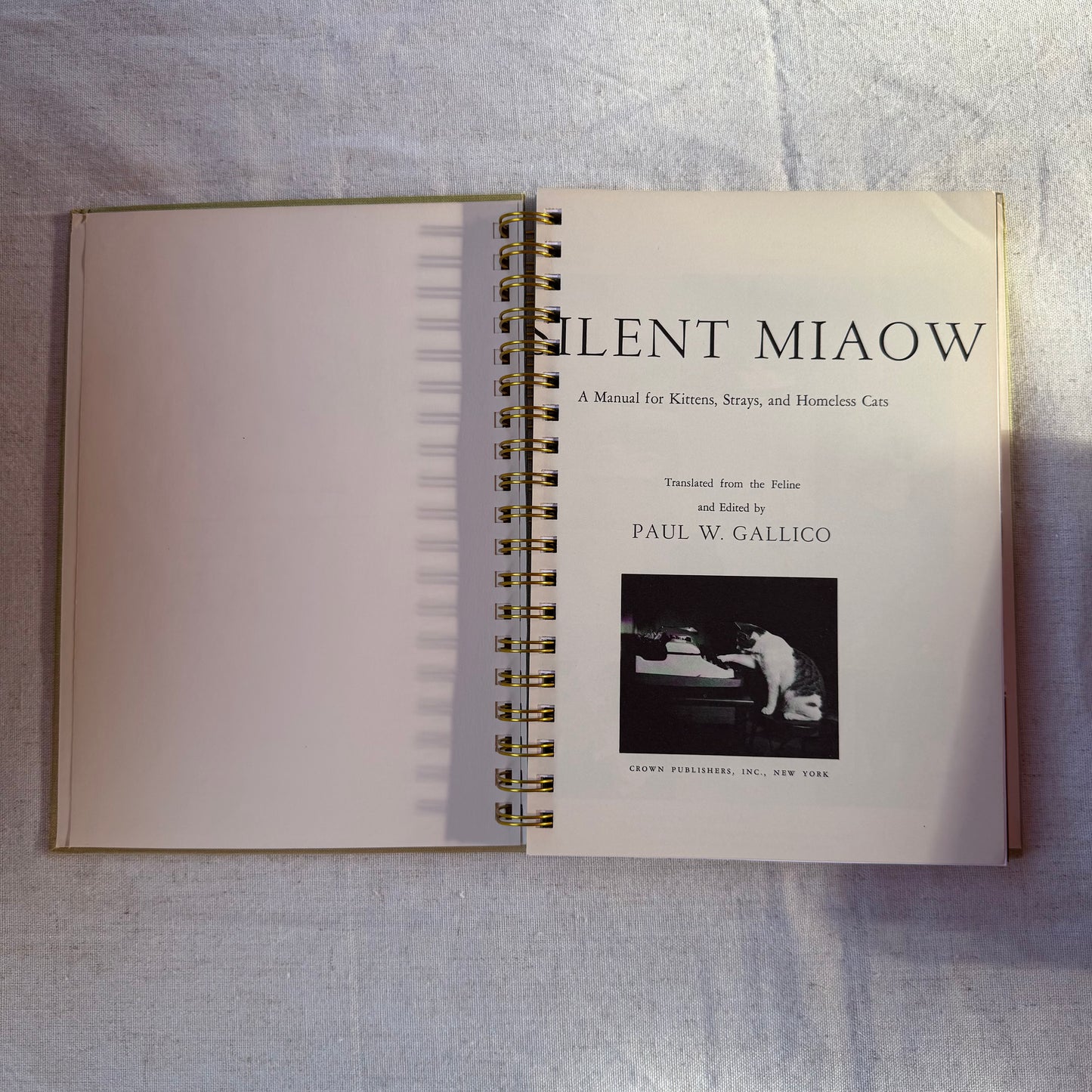 The Silent Miaow