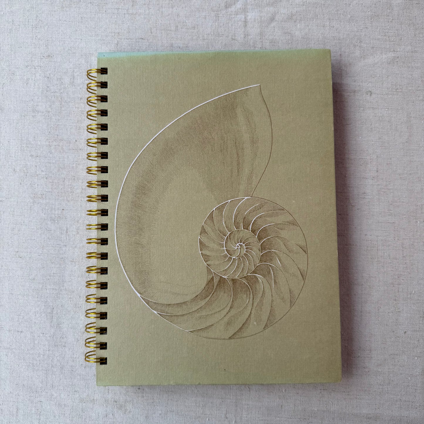 All Color Book of Seashells