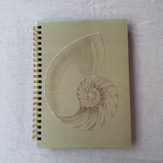 All Color Book of Seashells