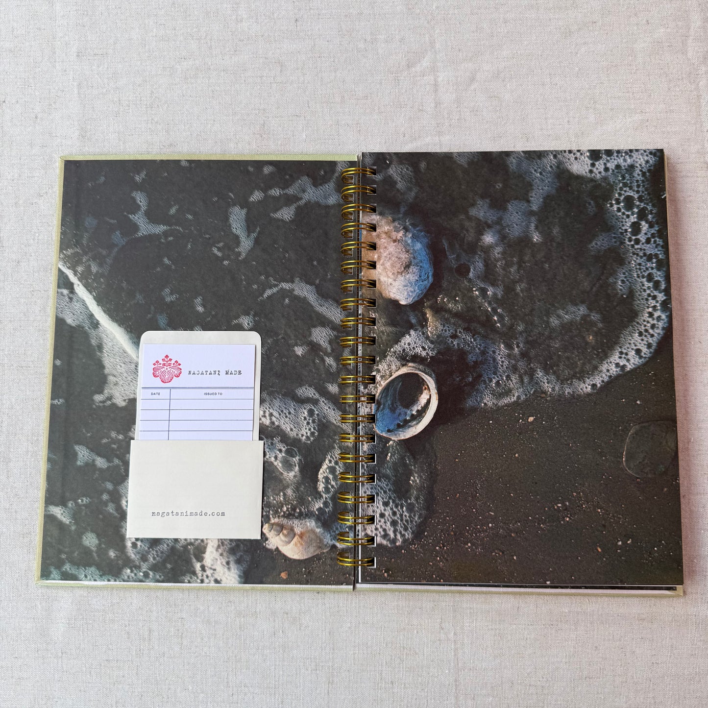 All Color Book of Seashells