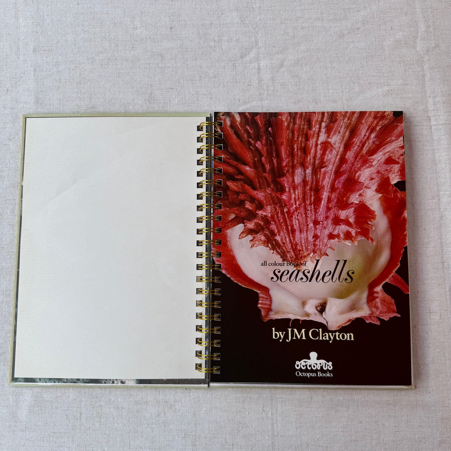 All Color Book of Seashells