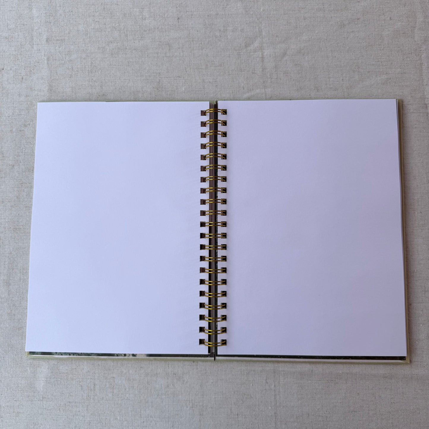 All Color Book of Seashells