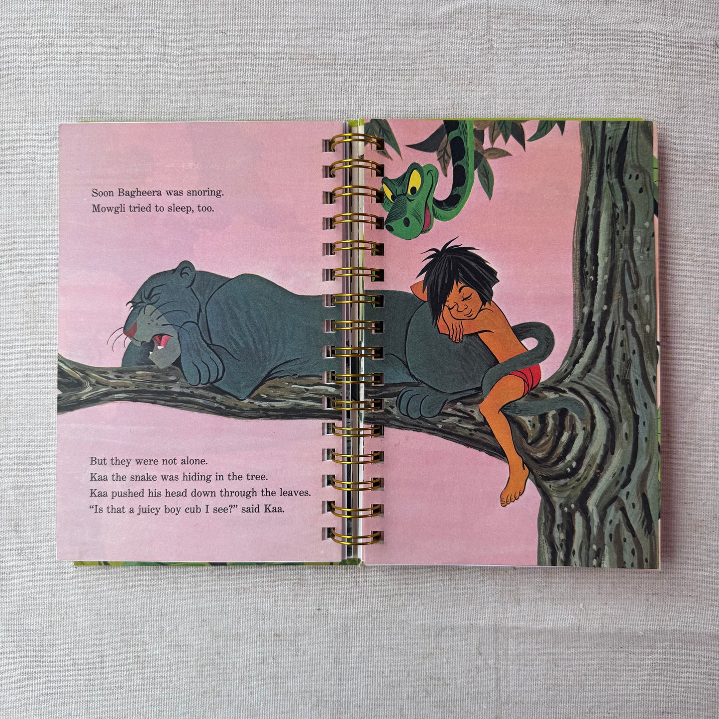 The Jungle Book