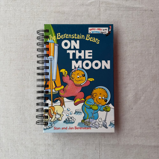 The Berenstain Bears On The Moon