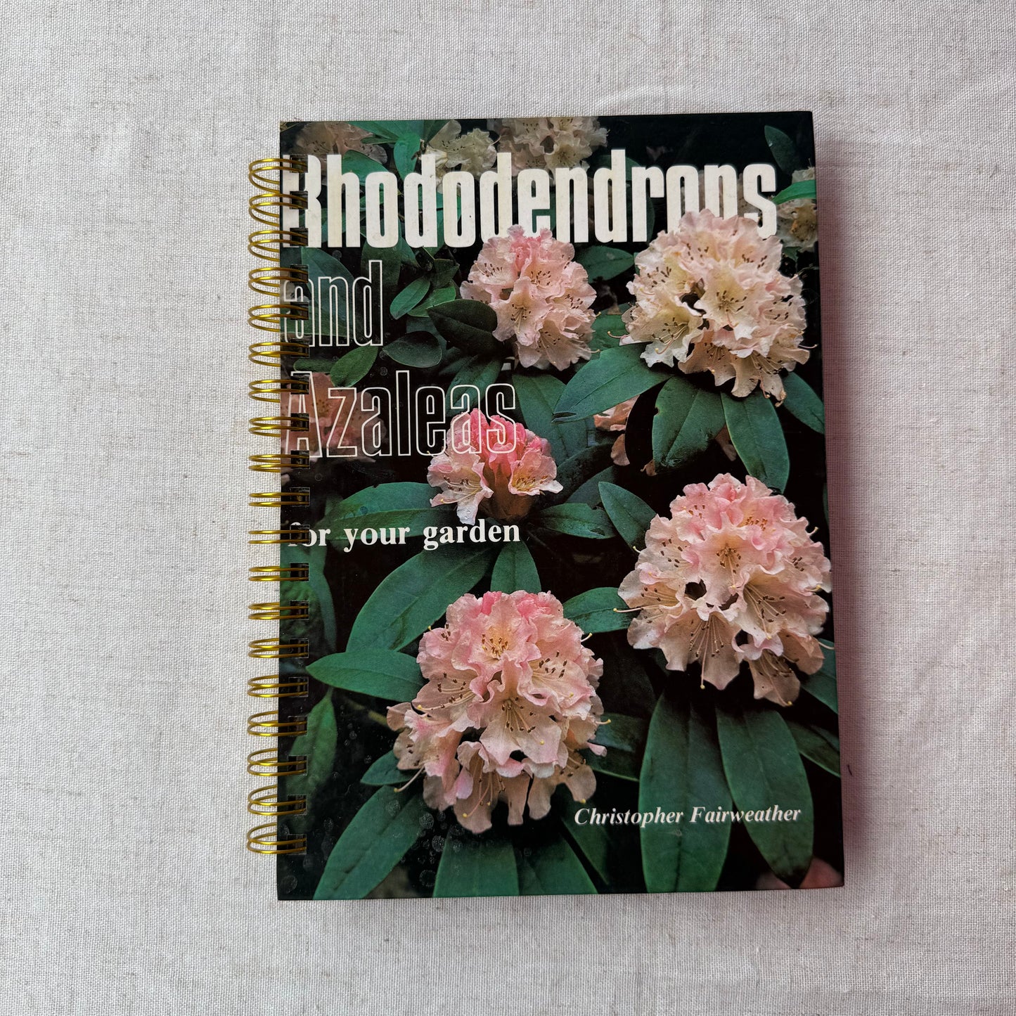 Rhododendrons and Azaleas For Your Garden