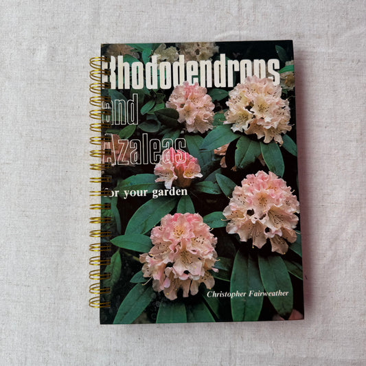 Rhododendrons and Azaleas For Your Garden