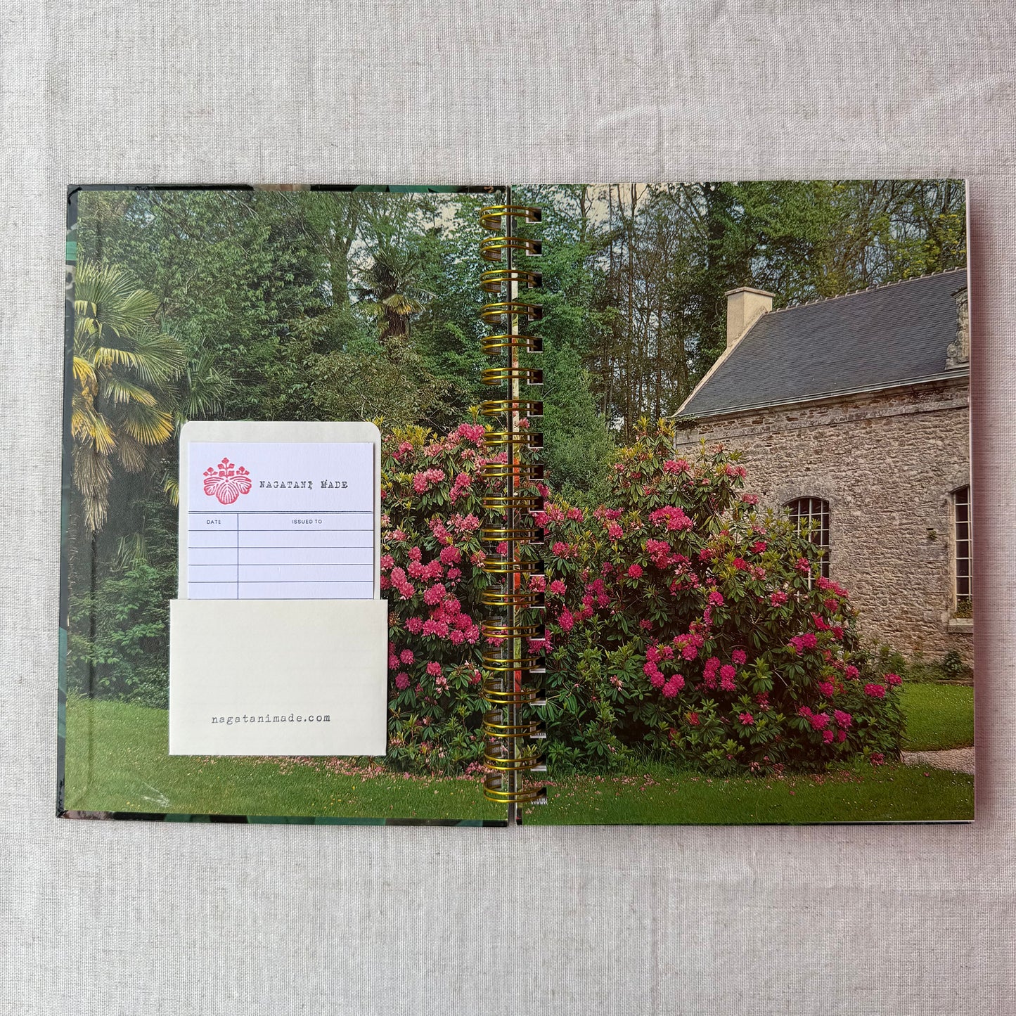 Rhododendrons and Azaleas For Your Garden