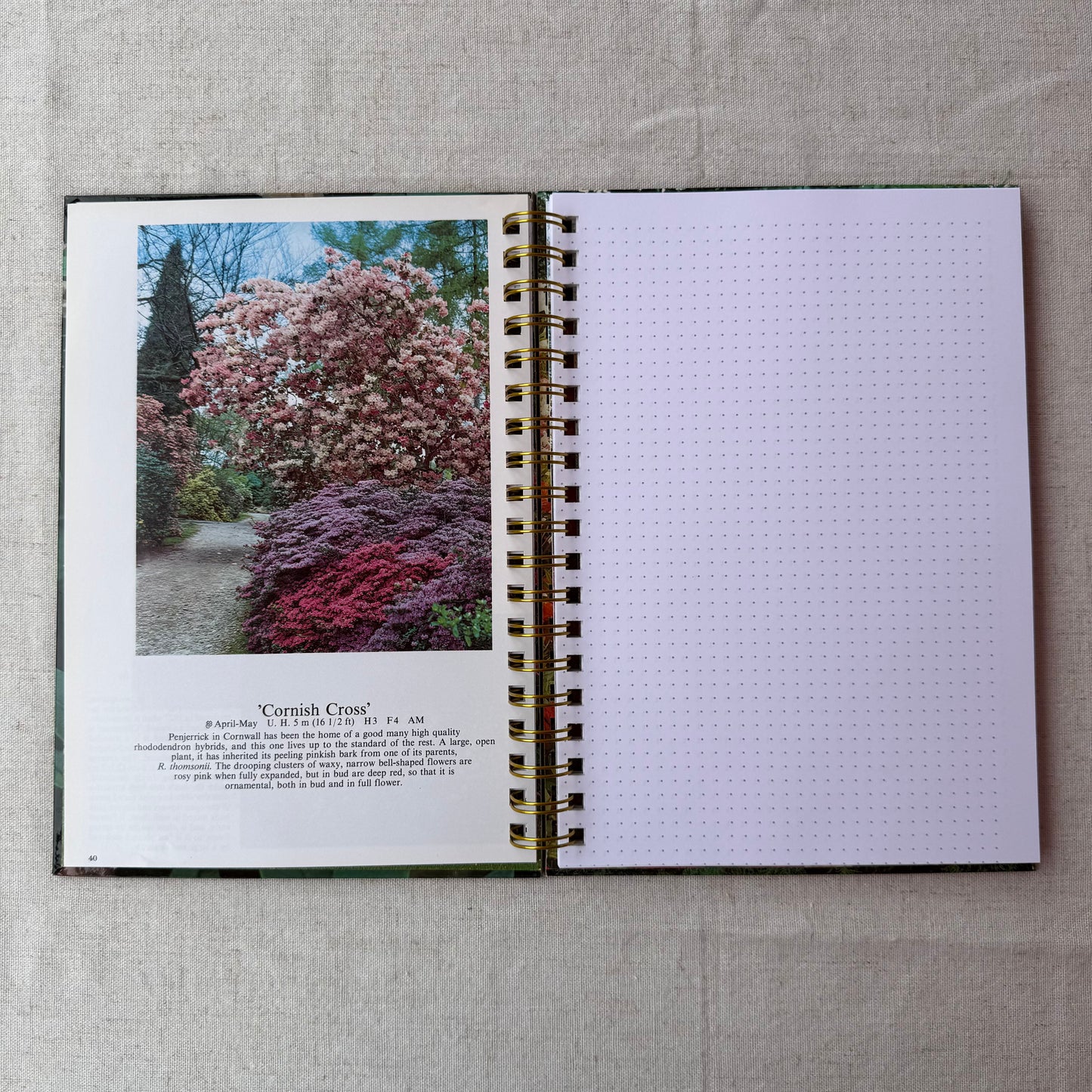Rhododendrons and Azaleas For Your Garden