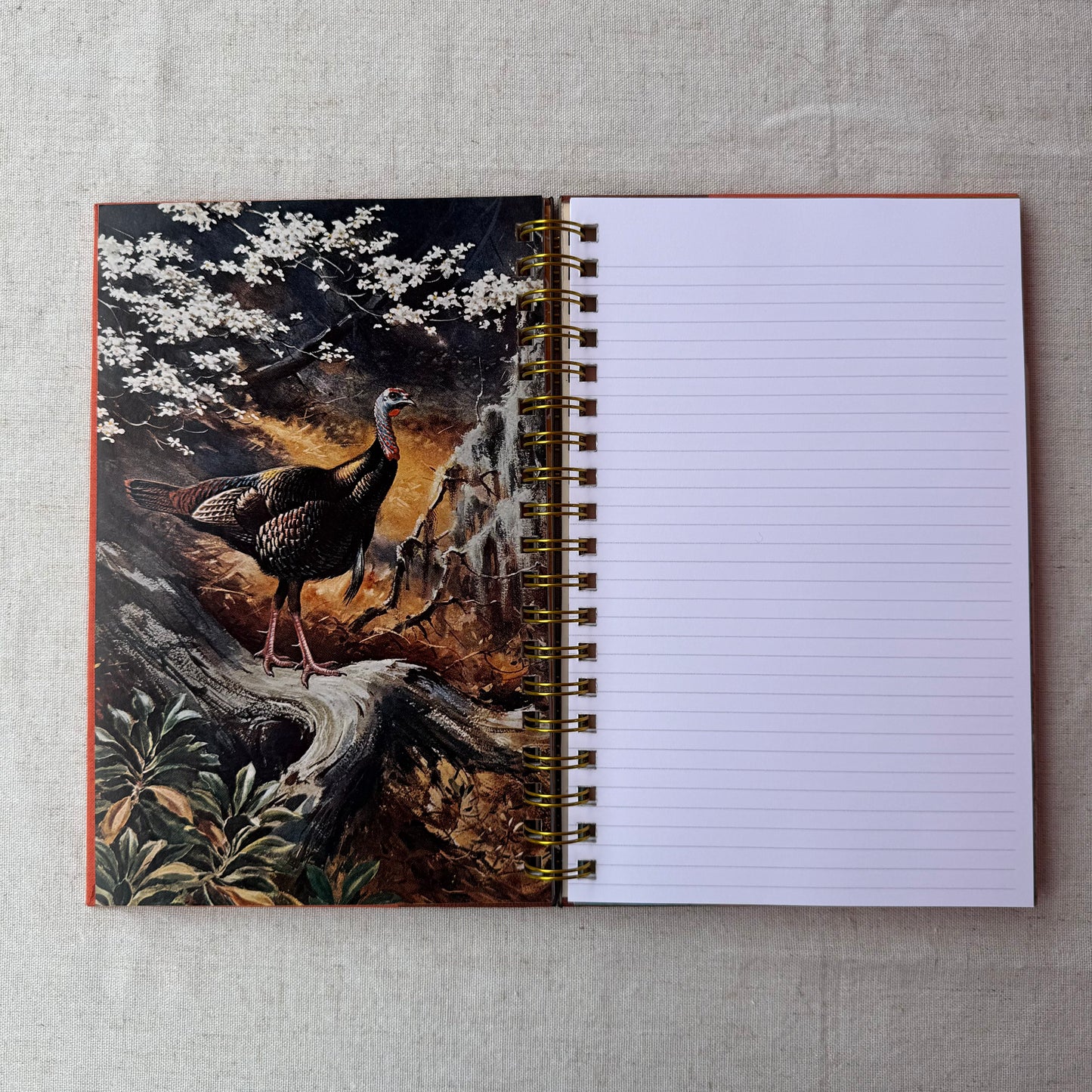 Water, Prey, and Game Birds of North America