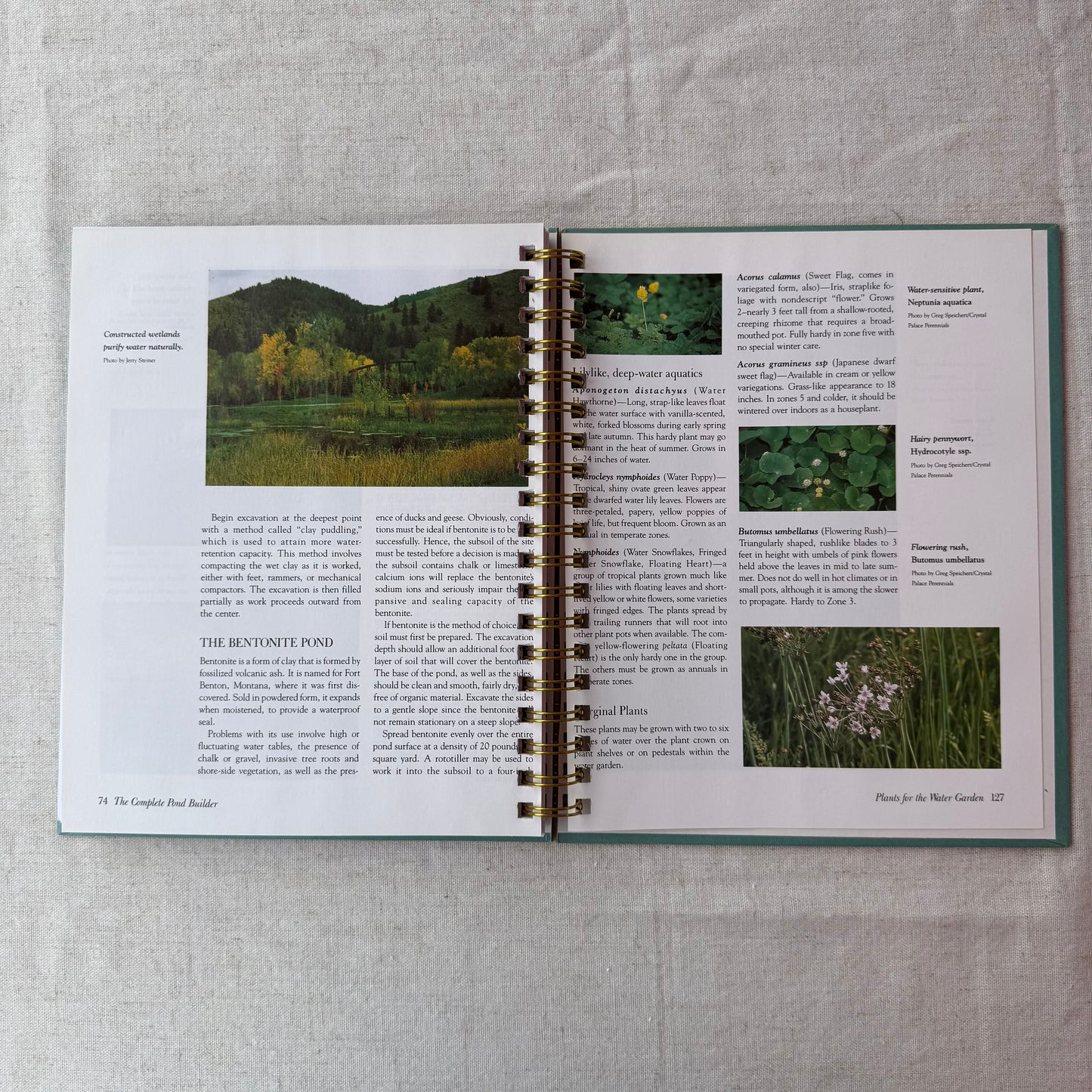 The Complete Pond Builder