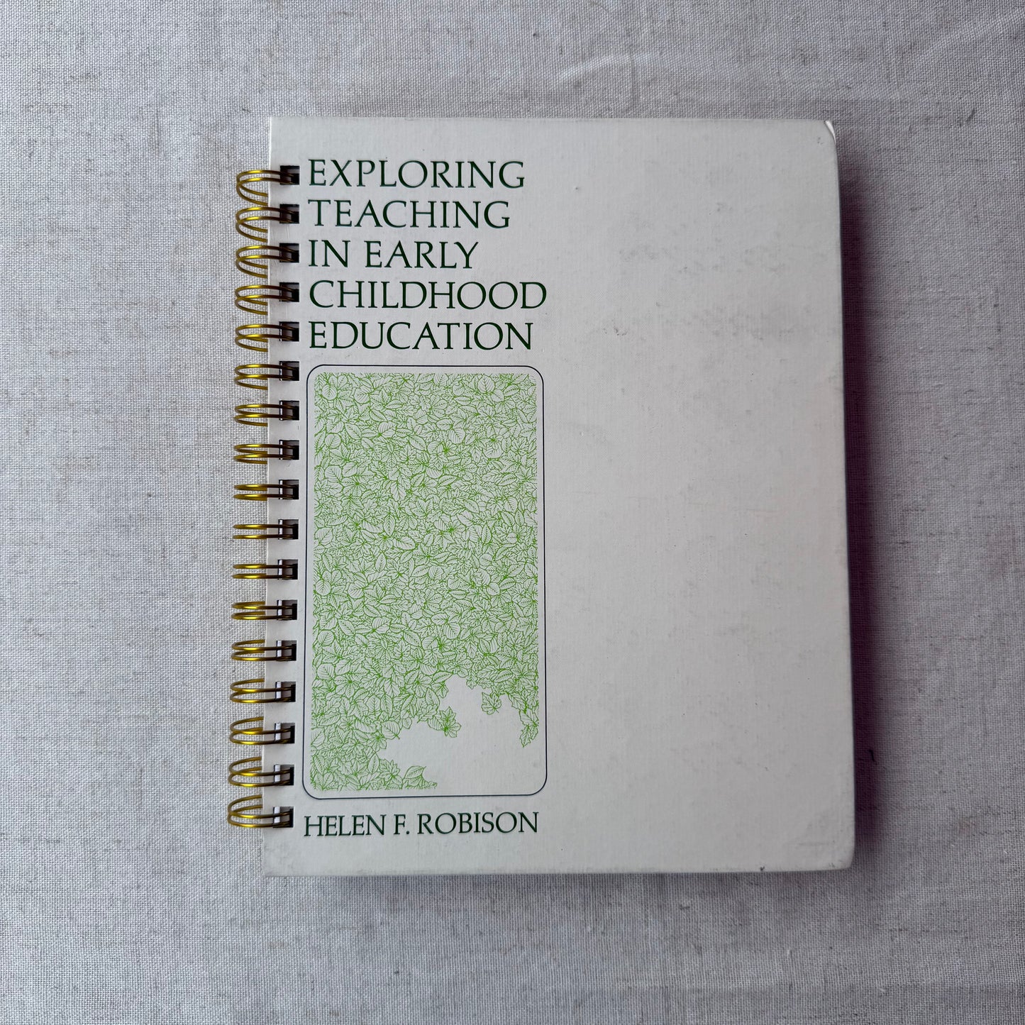 Exploring Teaching in Early Childhood Education